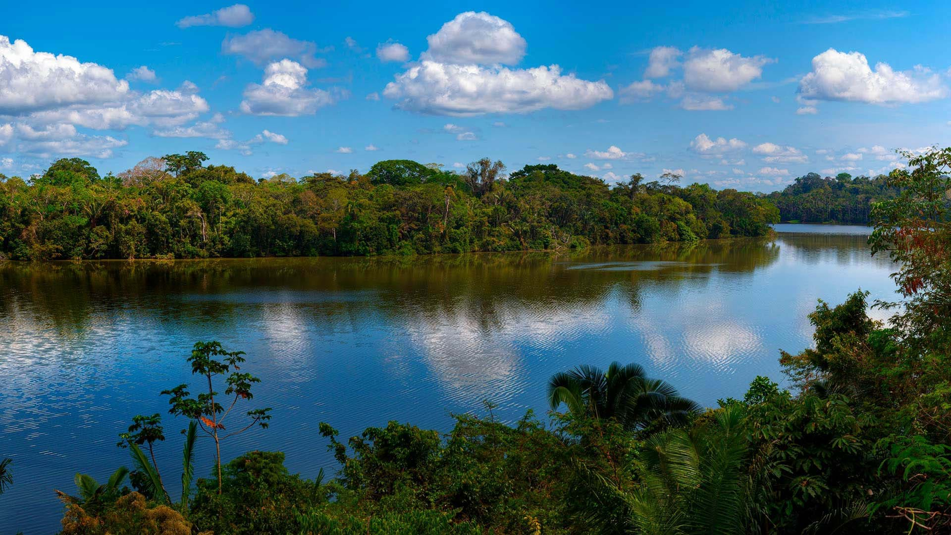 tambopata rainforest tours